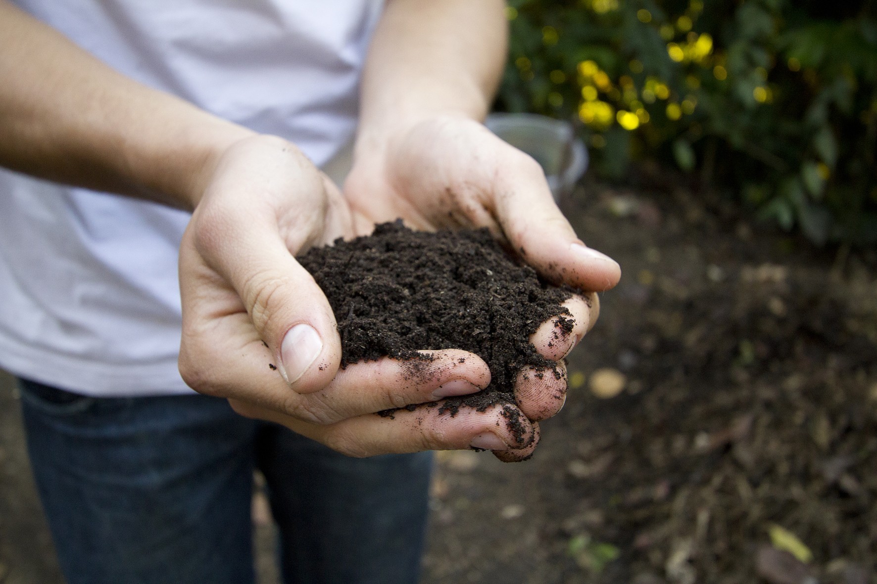 compostagem